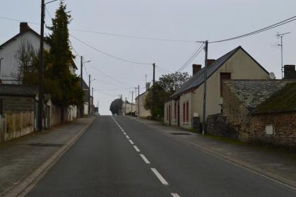 Dsc 1147